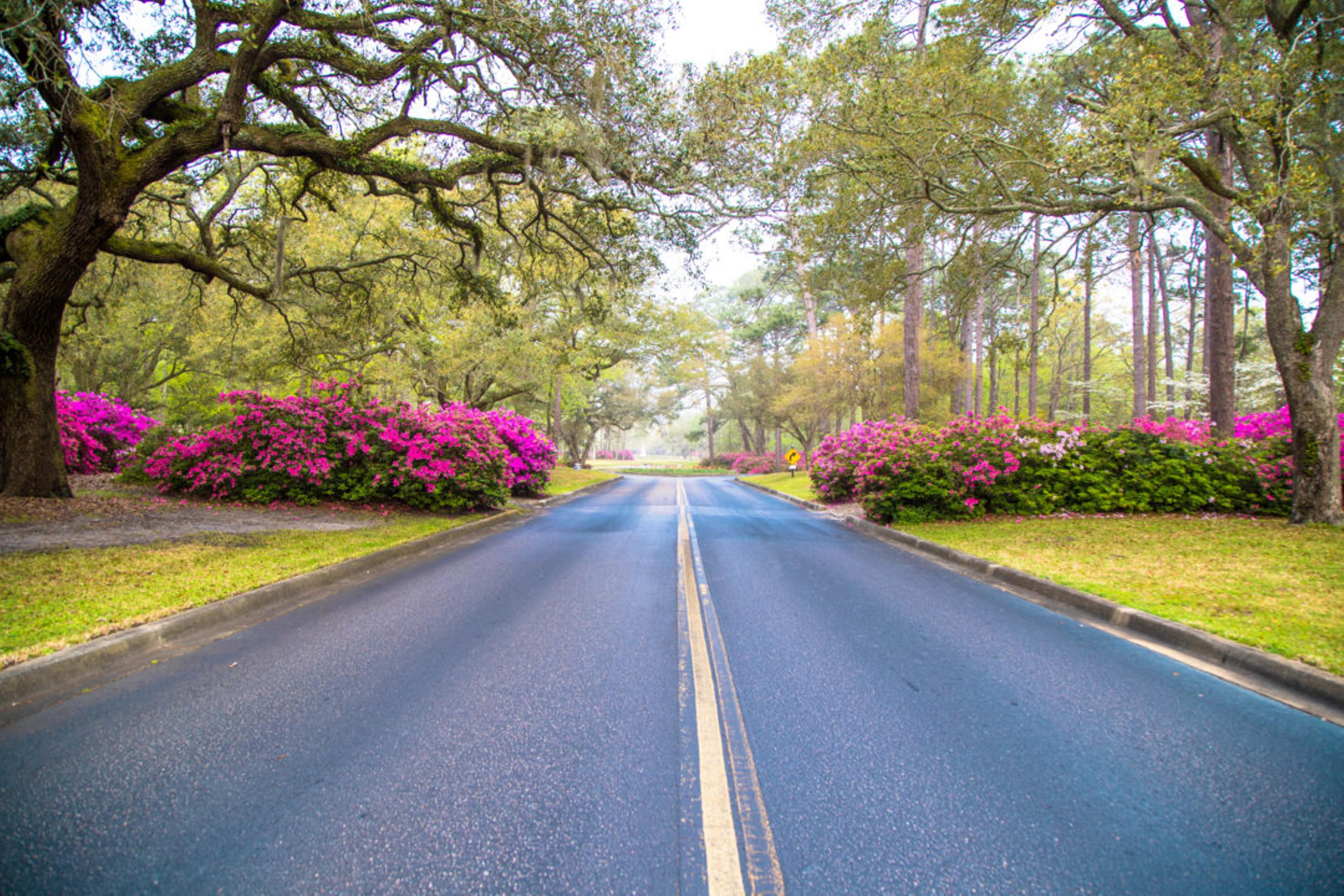 Brookgreen Gardens Memorial Day 5k