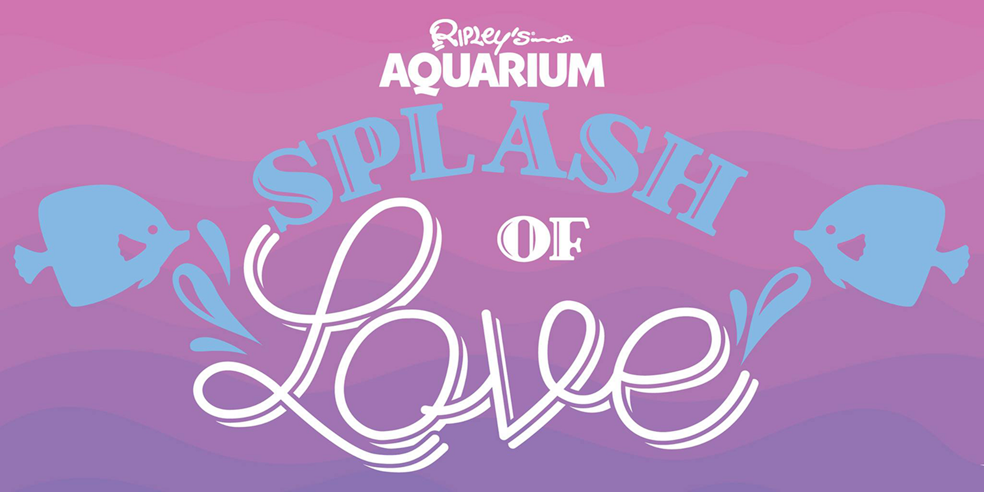 Ripley's Splash of Love Dinner