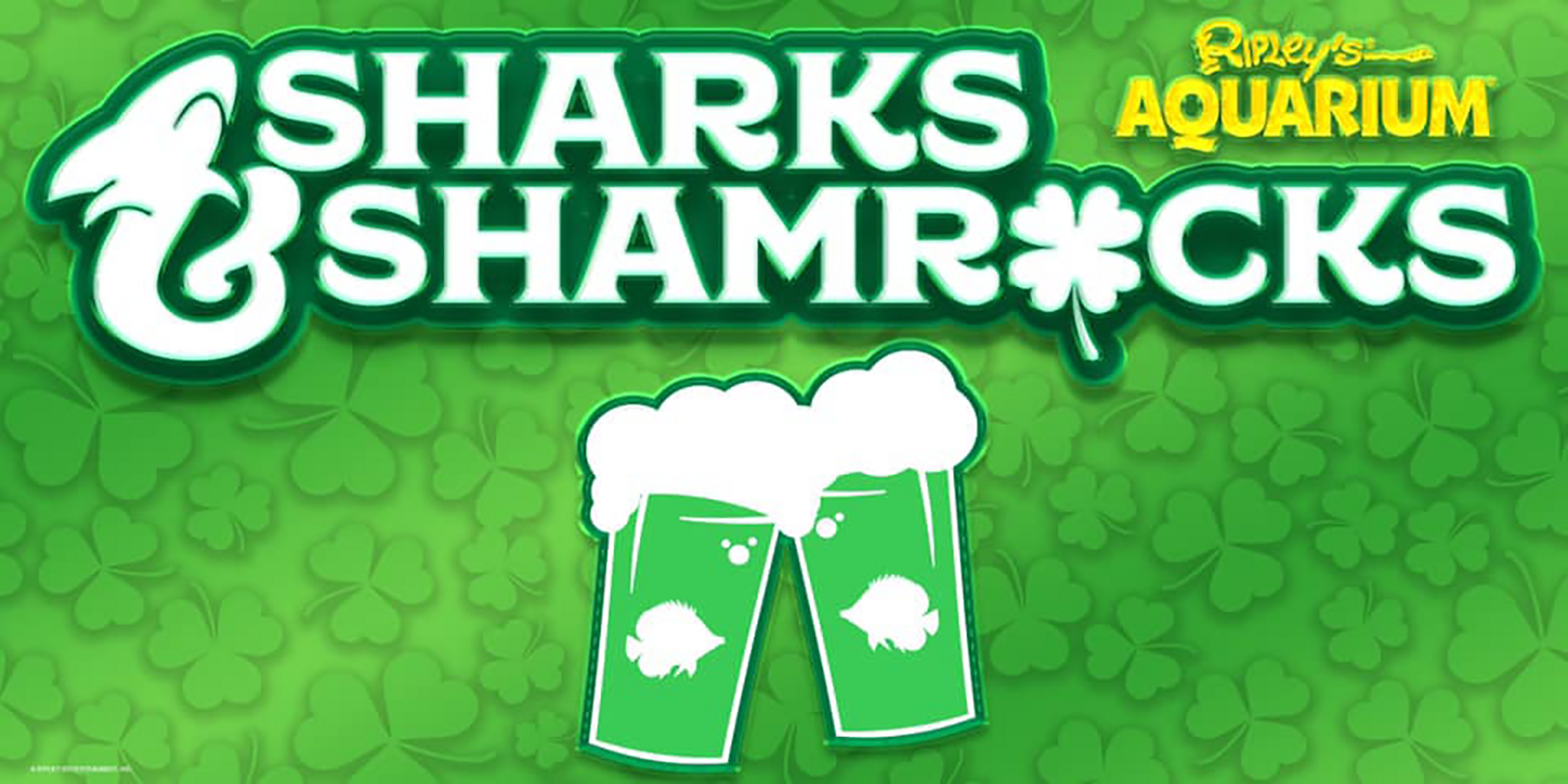 Sharks & Shamrocks at Ripley's Aquarium