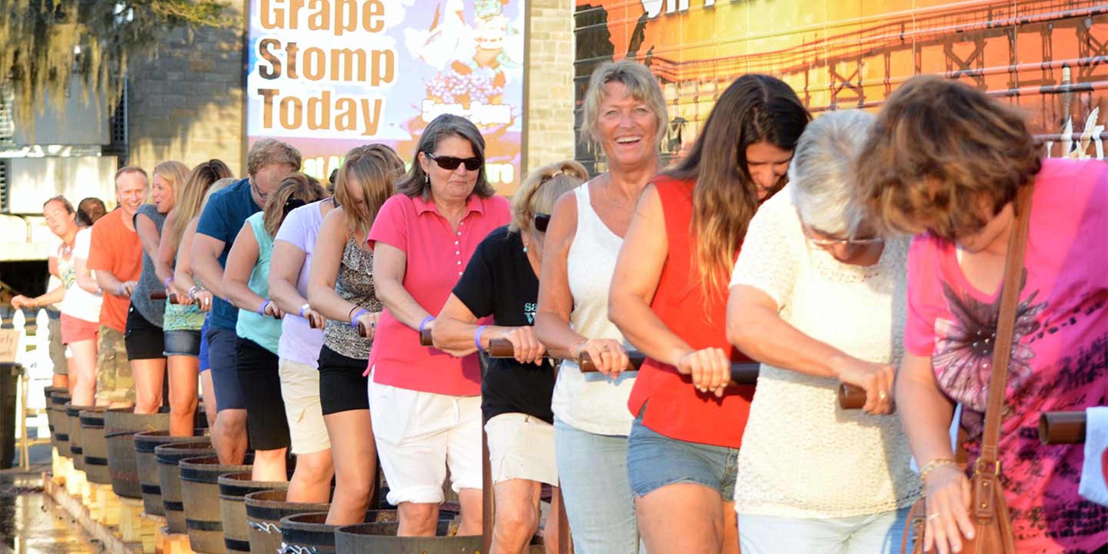 Duplin Winery Grape Stomp