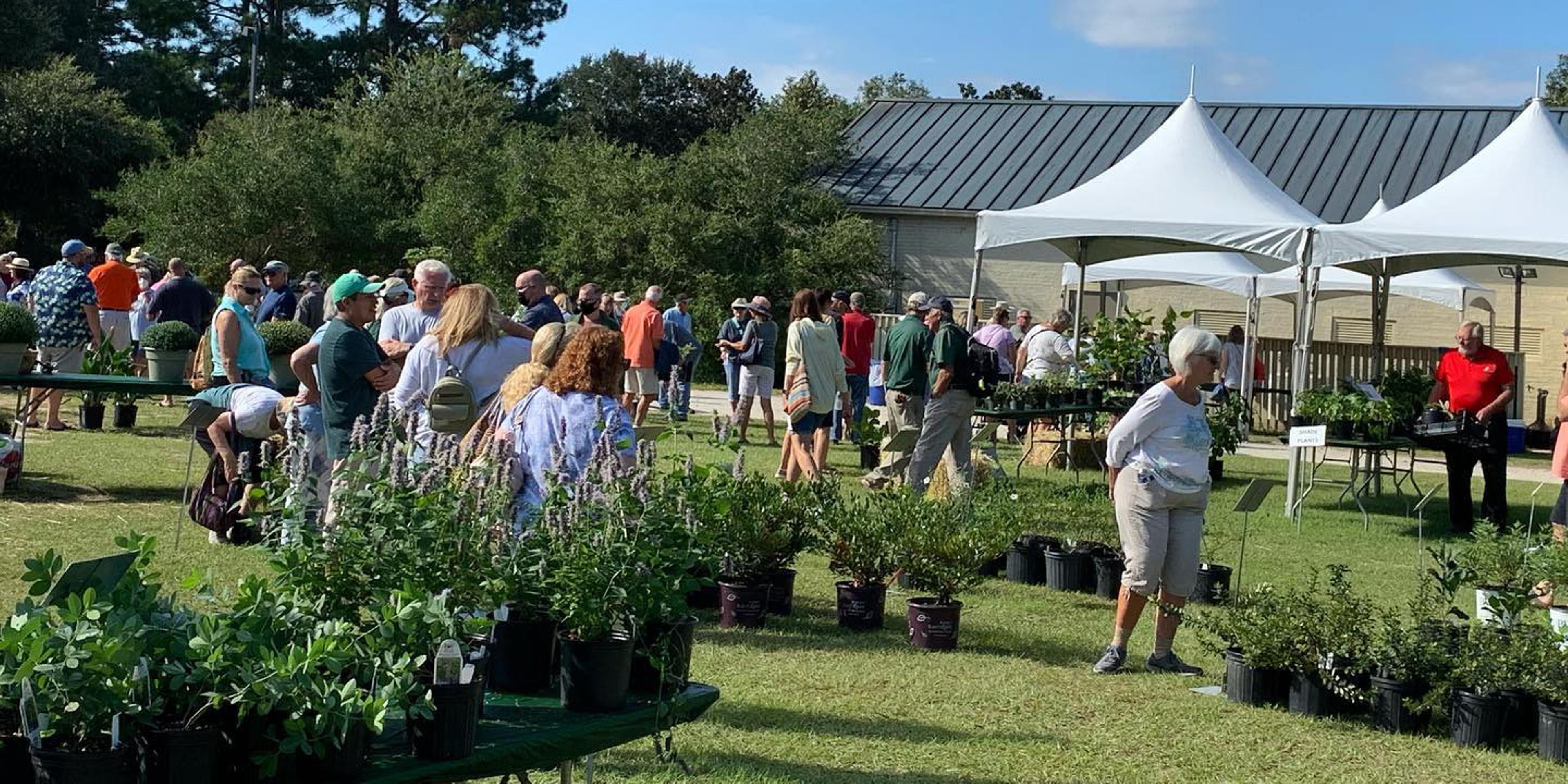 Fall Plant Sale at Brookgreen Gardens