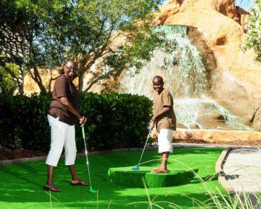 $1 Off Adult Day Play