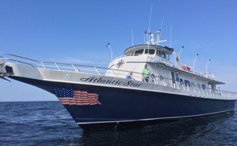 $3 OFF Dolphin & Wildlife Adventure Cruise