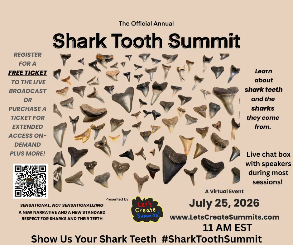 Shark Tooth Summit: a virtual event for shark lovers and shark tooth collectors